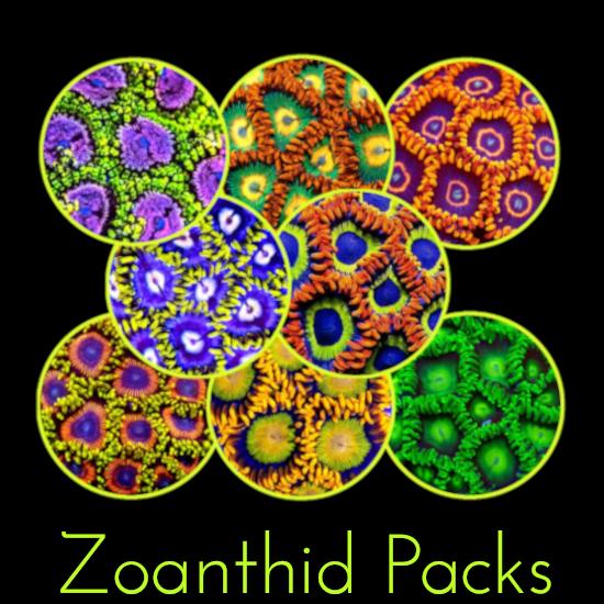 Zoanthid Packs